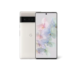 Pixel 6 Pro