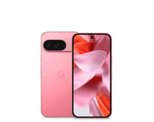 Pixel 9